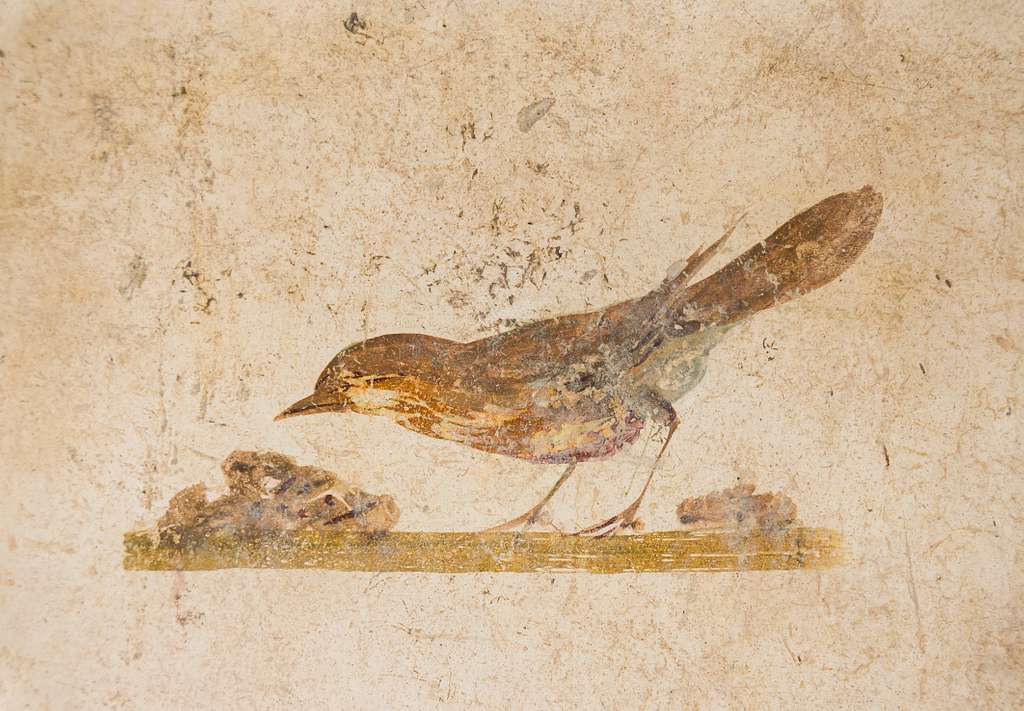 Frescos romanos policromados de Oplontis
